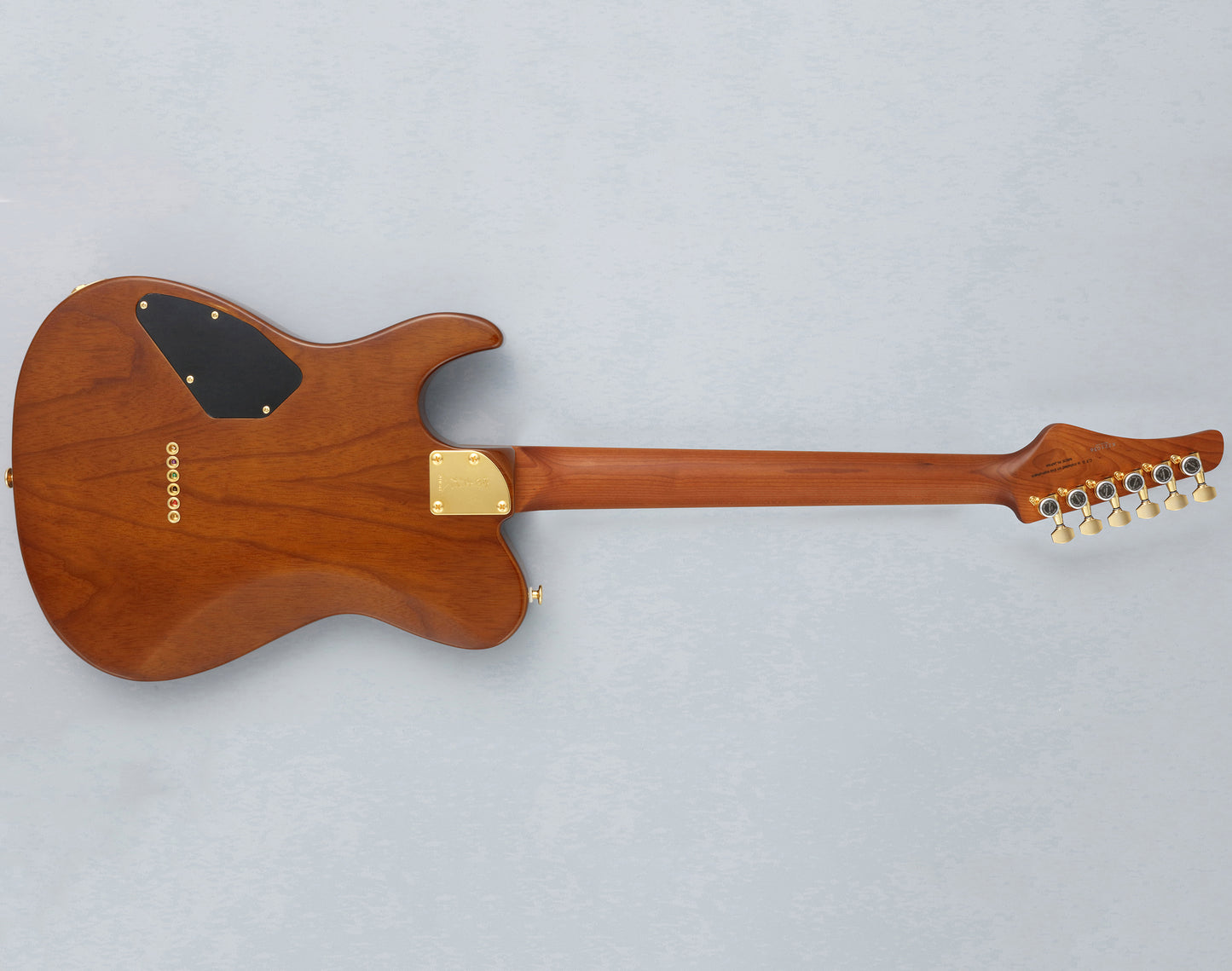 FGN Fujigen Expert EIL-EW1-HS-RM Iliad Telecaster Hojicha Burst (Made in Japan)