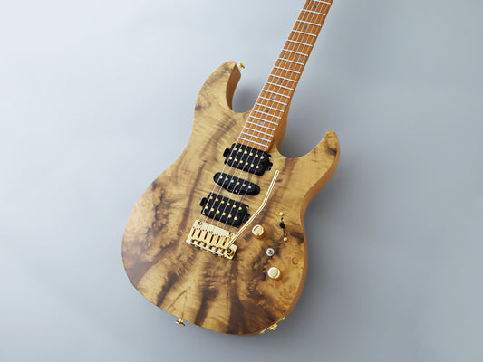 FGN Fujigen Expert EOS2-DU24HSH-EW4-RM Odyssey Stratocaster (Made in Japan)