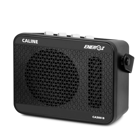 Caline CA-300B bass amplifier, front three-quarter view