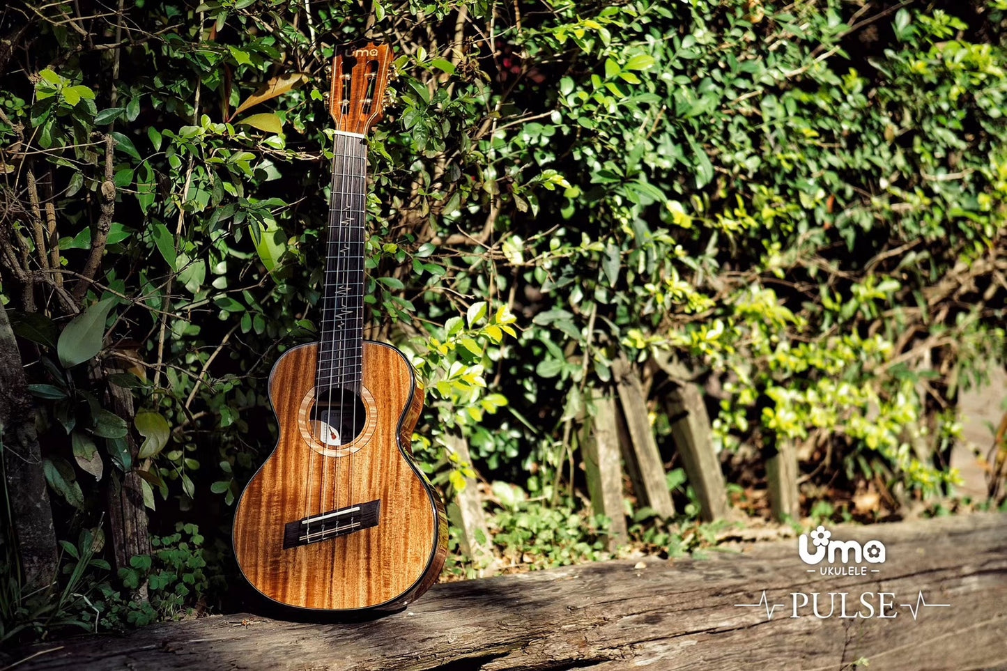 UMA PULSE-KT Solid Acacia Koa Body Tenor Ukulele