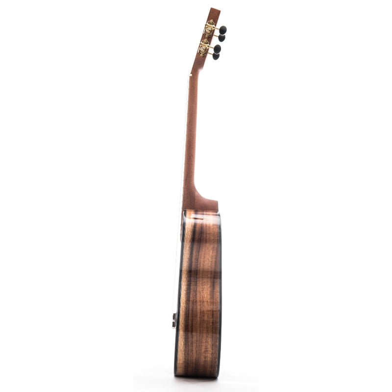 UMA PULSE-KT Solid Koa Tenor