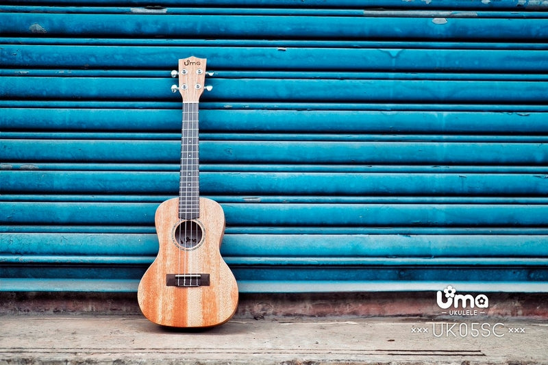 UMA UK05ST Solid Mahogany Top Tenor Ukulele