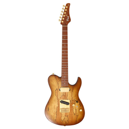 FGN Fujigen Expert EIL-EW1-HS-RM Iliad Telecaster Hojicha Burst (Made in Japan)