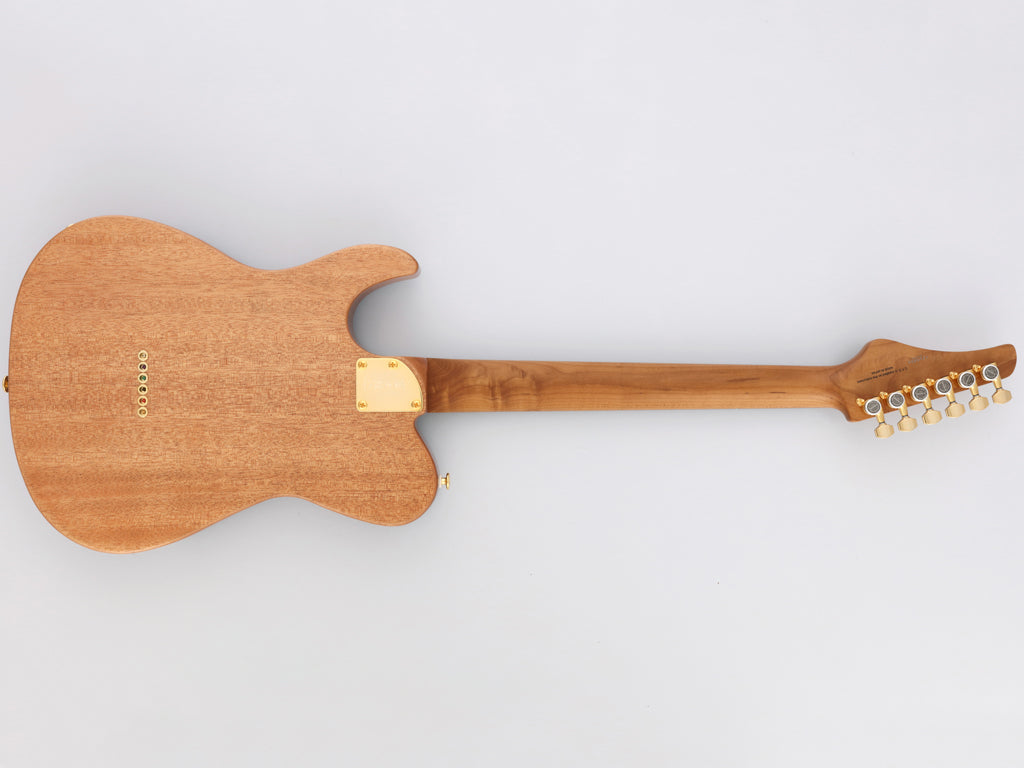 FGN Fujigen Expert EILT-EW3-HS-MR Iliad Thinline Telecaster Natural (Made in Japan)