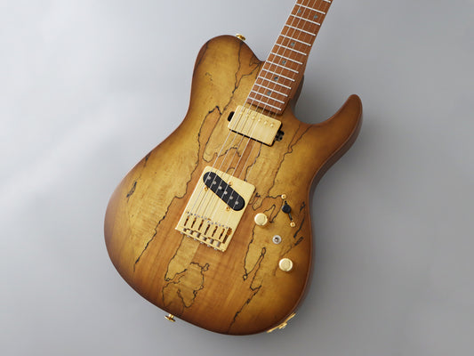 FGN Fujigen Expert EIL-EW1-HS-RM Iliad Telecaster Hojicha Burst (Made in Japan)