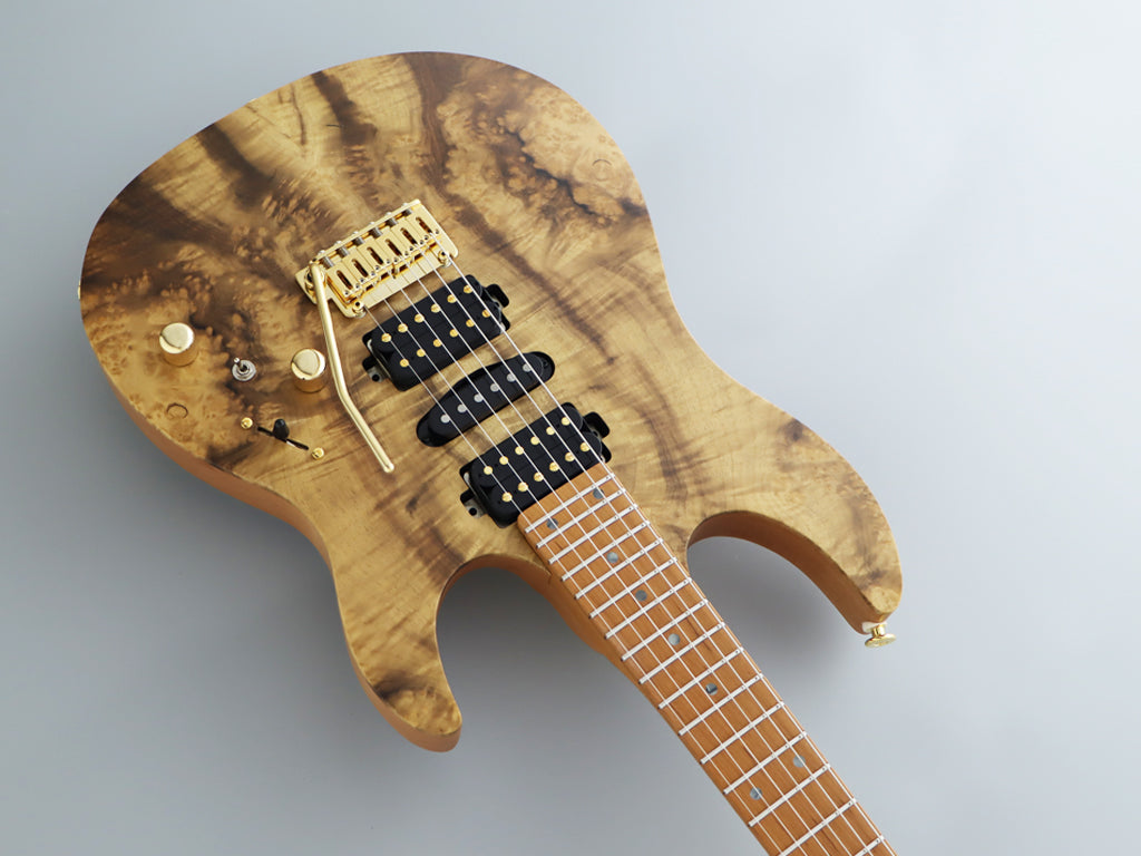 FGN Fujigen Expert EOS2-DU24HSH-EW4-RM Odyssey Stratocaster (Made in Japan)