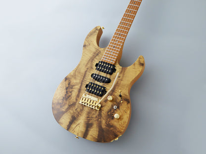 FGN Fujigen Expert EOS2-DU24HSH-EW4-RM Odyssey Stratocaster (Made in Japan)