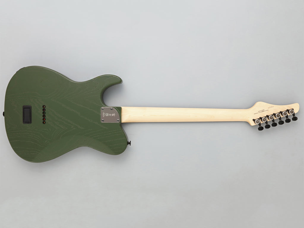 FGN Fujigen J-Standard JIL3-ASH-DE664-R Iliad Telecaster (Made in Japan)