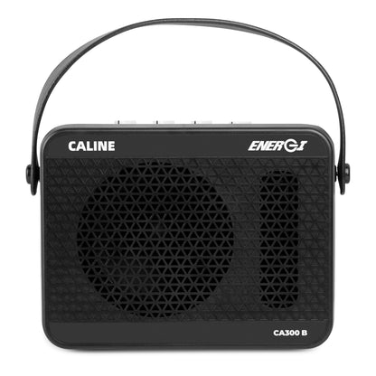 Caline CA-300B 15W bass amplifier, front view