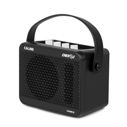 Caline CA-300B bass amplifier, rear input and power panel