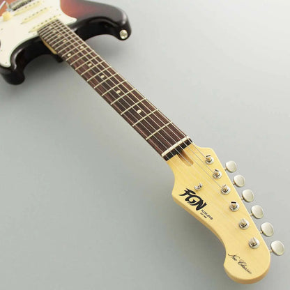 FGN NST200RAL-VSB closeup — pickups