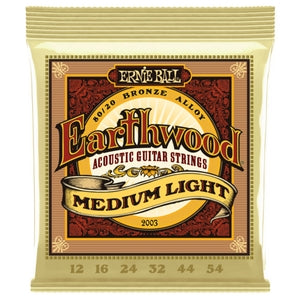 Ernie Ball Earthwood 12-54